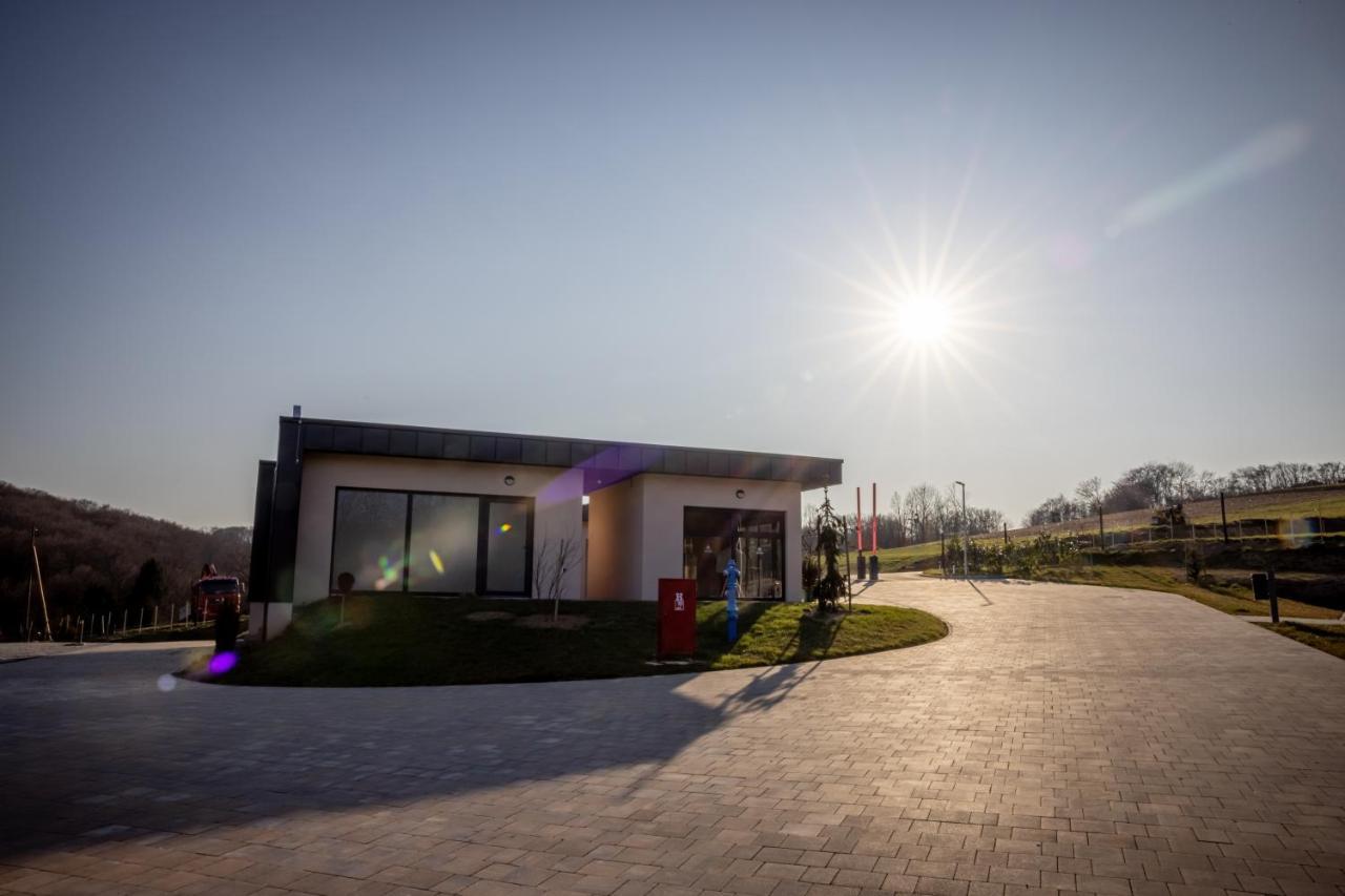 Wine Camp Hazic Sveti Martin Na Muri Exterior foto